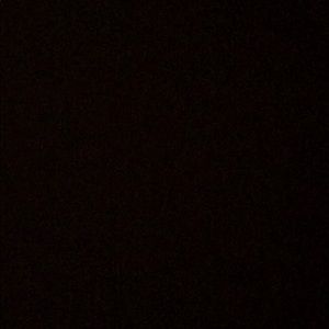 Meet your Posher, Celia